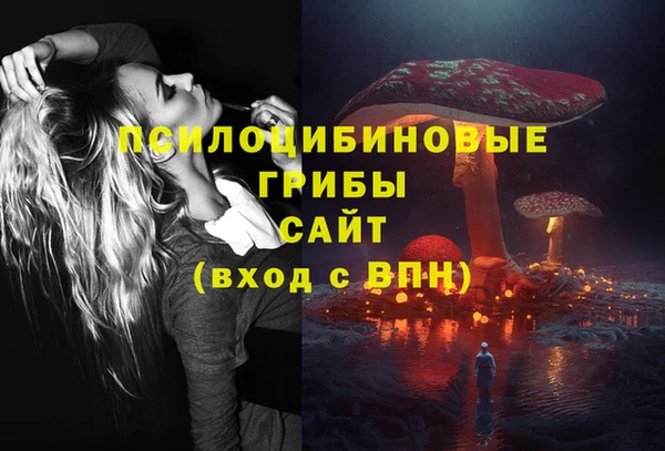 apvp Алексин