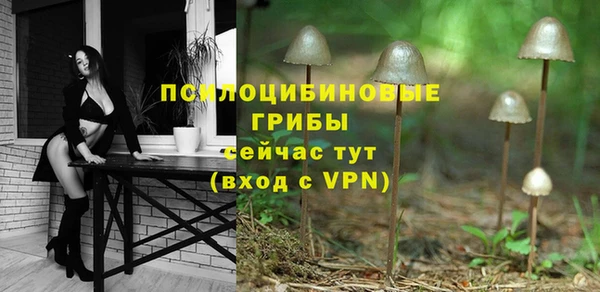 ALPHA PVP Алзамай
