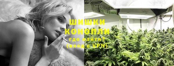 apvp Алексин