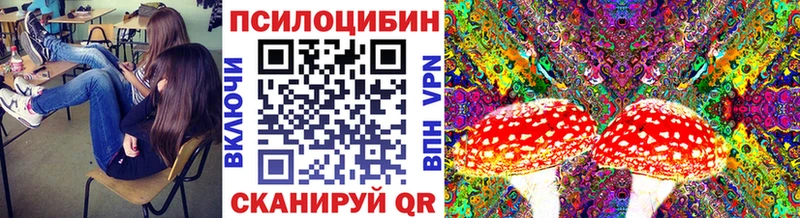 Галлюциногенные грибы Psilocybine cubensis  Аргун 
