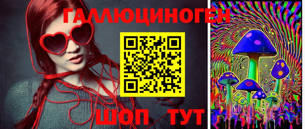 Псилоцибиновые грибы GOLDEN TEACHER  наркошоп  Аргун  Вход с VPN 